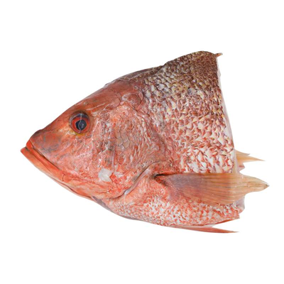 Fresh Red Snapper Fish Head (~1kg)