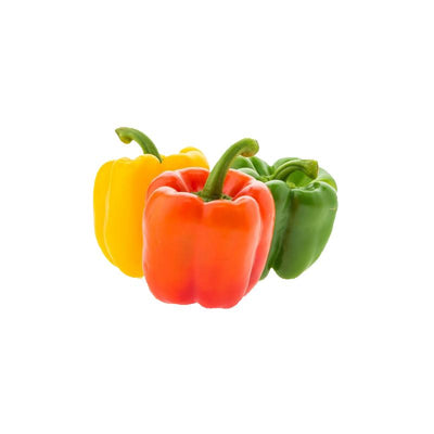 绿/红/黄 椒 Green/Red/Yellow Pepper (1pc)