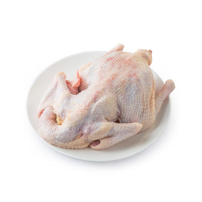 Old Hen Chicken (~1.2-1.4kg)