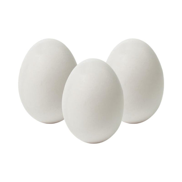 White Shell Eggs (10pcs)